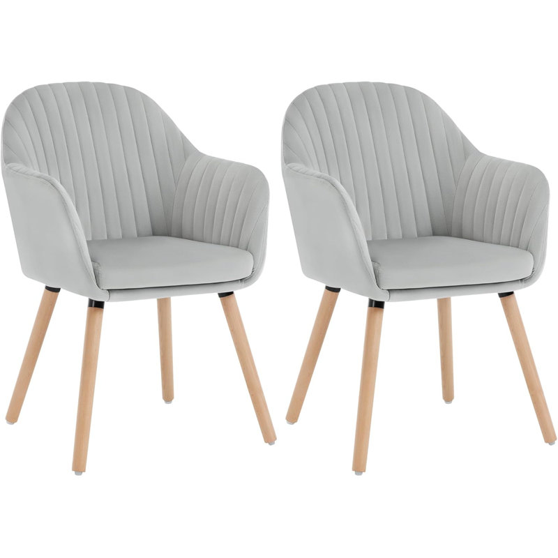 Avila 44cm H Velvet Upholstered Upholstered Back Armchair, Light Grey