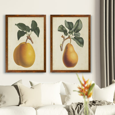 Antique Pear Botanical I by Vincent Van Gogh - 2 Piece Picture Frame Painting Print Set