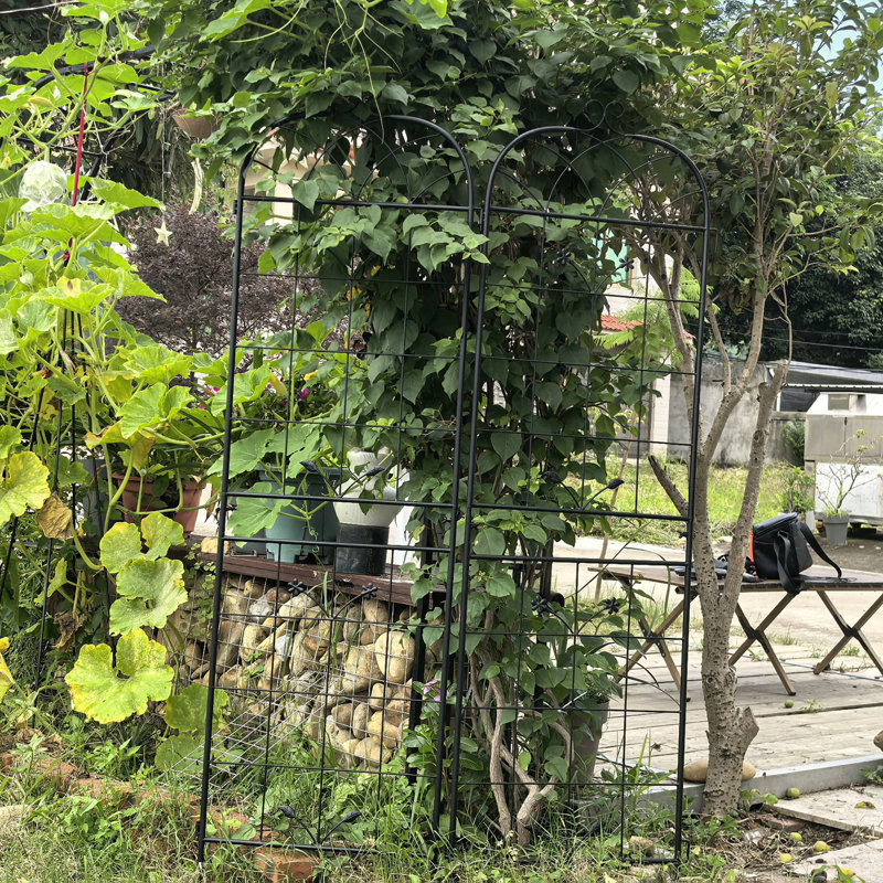 Treillis de jardin en métal