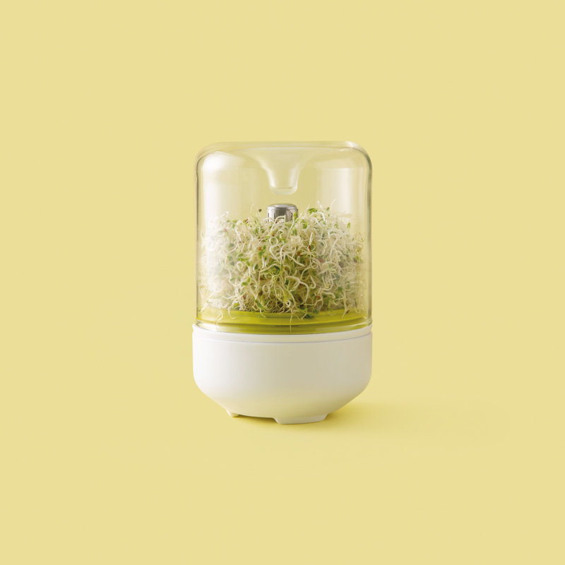 Chef'n Growing Kit Salads