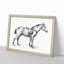 Horse with a Saddle by Jean Bernard - Picture Frame Drawing Print on MDF-55579128-55579127