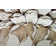 Burbach Floral Indoor Rug
