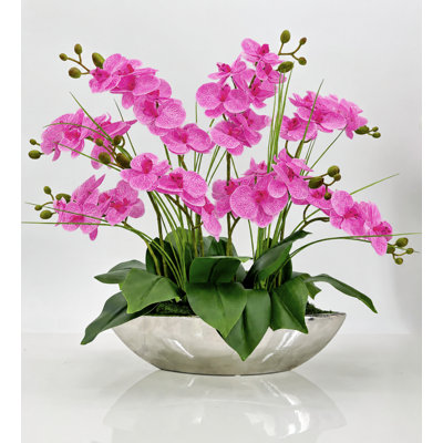8 Stems Real Touch Phalaenopsis Orchid Arrangement