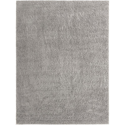 Indoor Rug