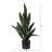Sansevieria Artificial Plant
