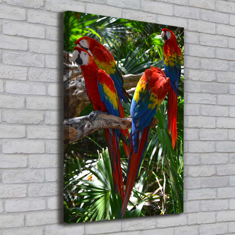 Macaw Parrots - Wrapped Canvas Print