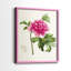 Impression encadrée PrettyPinkBotanicalsI-Premium - prête à être accrochée - aucun clou requis - aucun clou requis-1909328021-1909328020