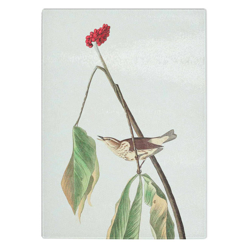 Glass Louisiana Water Thrush by John James Audubon Chopping Board, 39 cm W x 28.5 cm L
