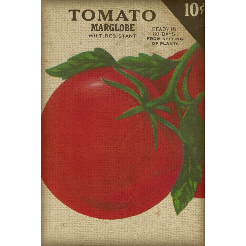 Heirloom Variety V by Jarman Fagalde - Wrapped Canvas Print, 46cm H x 30cm W