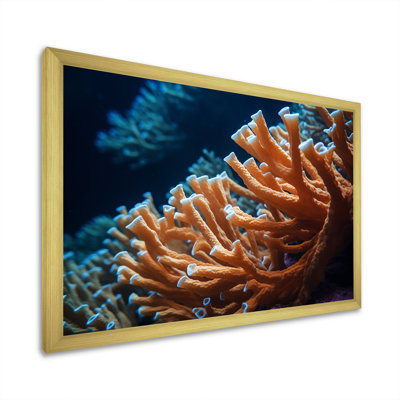 «Orange Branching Coral Reef», reproduction sur toile encadrée