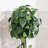 Faux Indoor Outdoor Artificial Plants Set