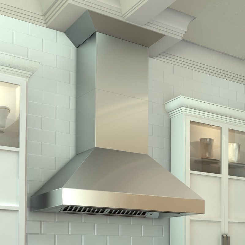 Professional 500 CFM Convertible Wall Mount Range Hood in Stainless Steel