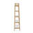 Shelf / Bookcase-2137194811