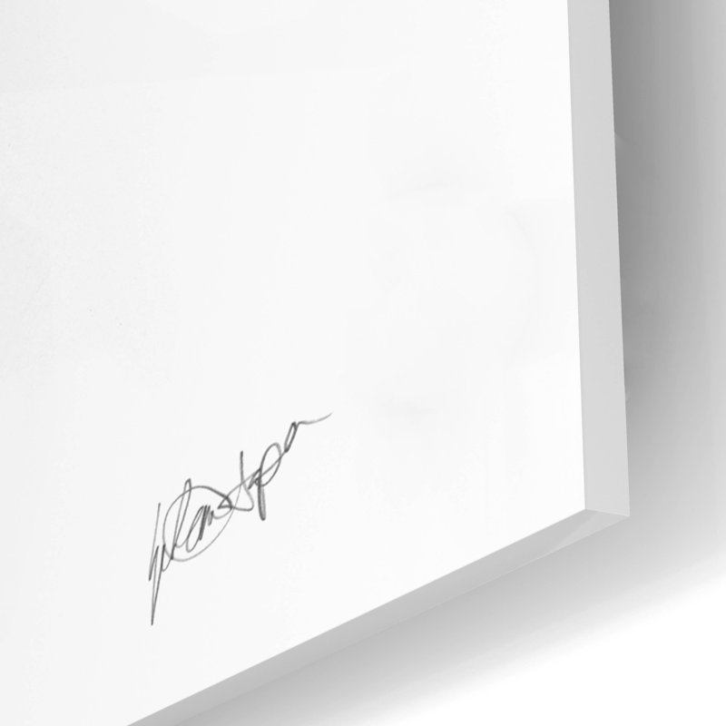 «Back Study 1» par Ethan Harper, art mural en verre acrylique, H 16 po x l 12 po x P 0,13 po