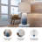 Cloninger Ceramic Table Lamp