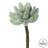 6'' Faux Branch