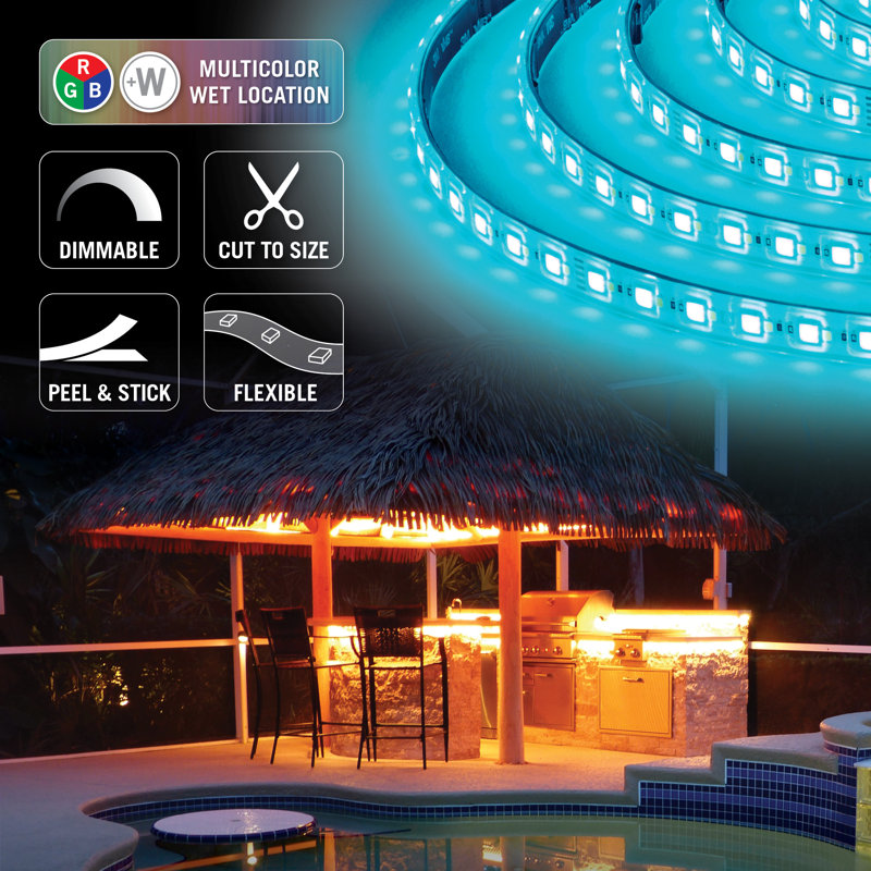 Ruban adhésif d'extérieur à DEL RibbonFlex Pro 24V RVB + W 60 + 60LED / m