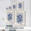 Matisse CCL XXIV, reproduction d'art encadrée