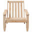 Garden Adirondack Chairs 2 Pcs 75X77x77 Cm-458153548
