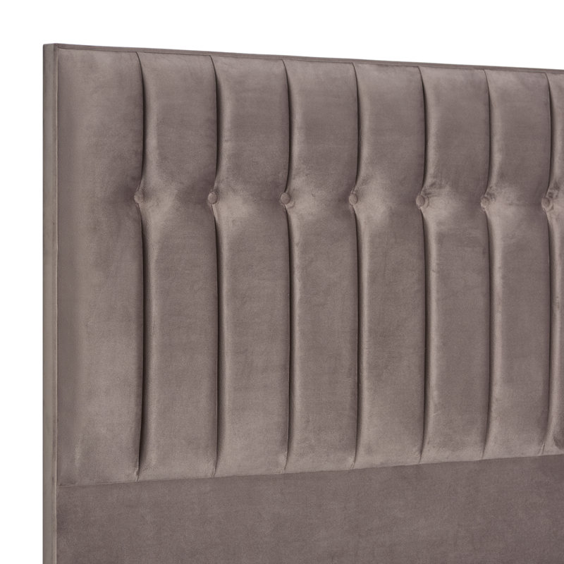 Robbins Upholstered Headboard, Small Double (4'), Plush Mole, Velvet