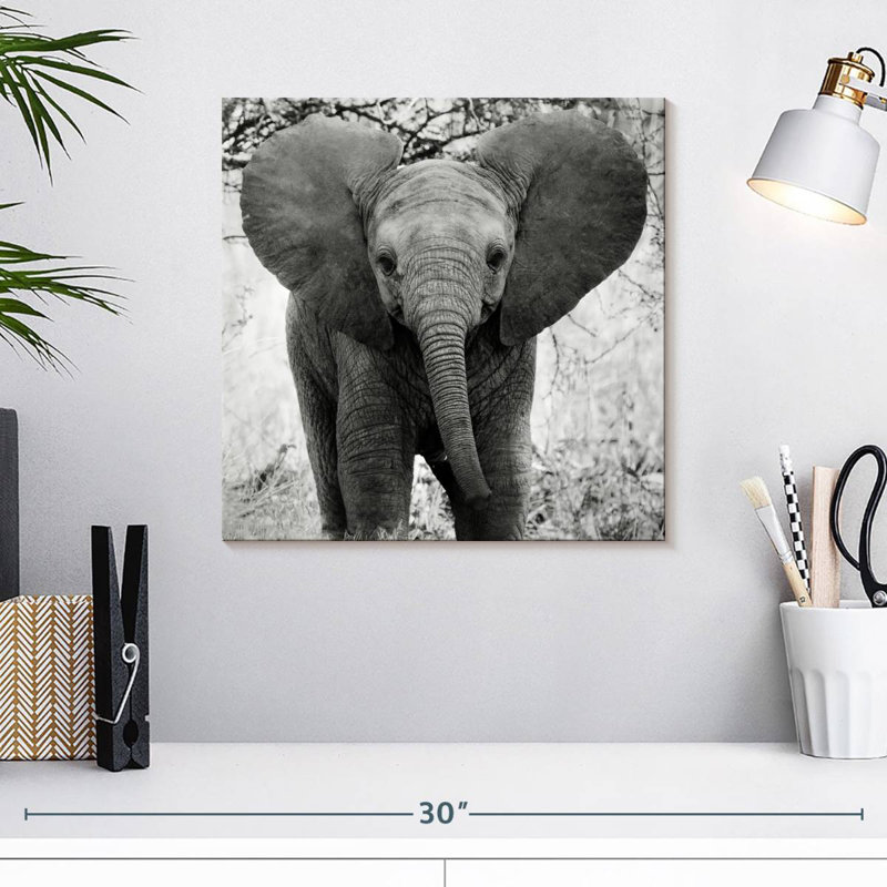 Drôle d'éléphant d'Afrique Brampt, H 16 po x l 16 po