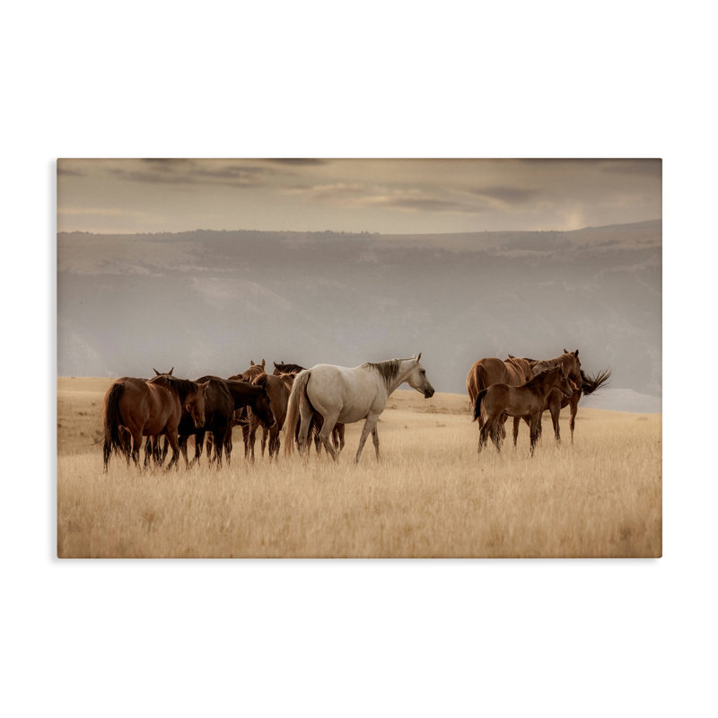 Toile équestre Montana Herd, conception de Christy Berry, H 16 po x l 24 po