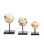 Organic 3 Piece Stone Sculpture Set