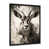 Black Single Picture Framed selected