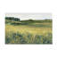 Pré jaune sur toile-1712676314