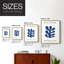 Matisse CCXCV III, reproduction d'art encadrée - bois massif-1116432752-1116432756