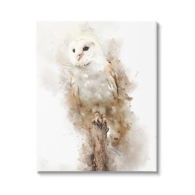 «Perched Barn Owl Wildlife» par Kim Curationa - impression sur toile tendue