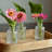 Knizair Glass Decorative Bottle