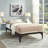 Ollie Steel Slatted Bed Frame-2024952252-2024952251