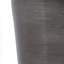 Shaker Tomini