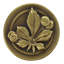 Horse Chestnut Mushroom Knob-16686613