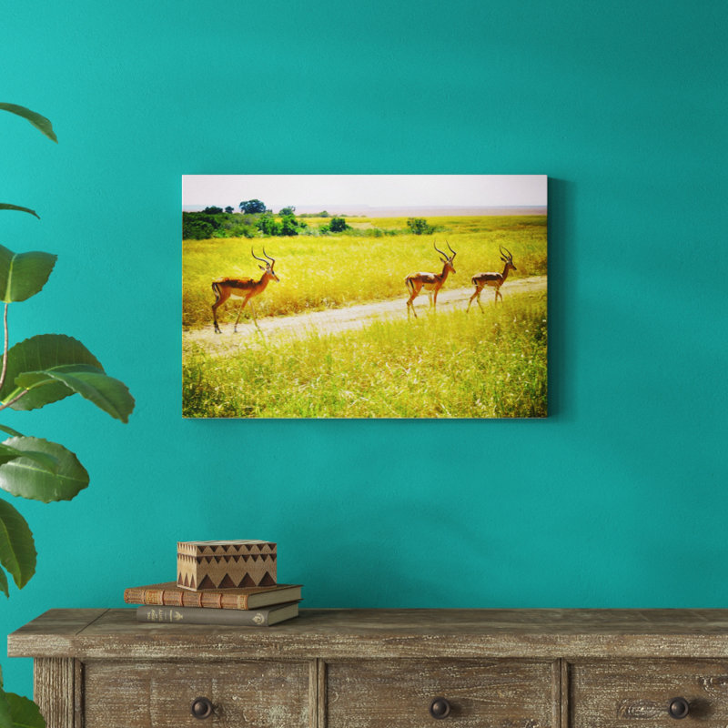 African Plains I by Golie Miamee - Print on Canvas, 20cm H x 30cm W, Wrapped Canvas