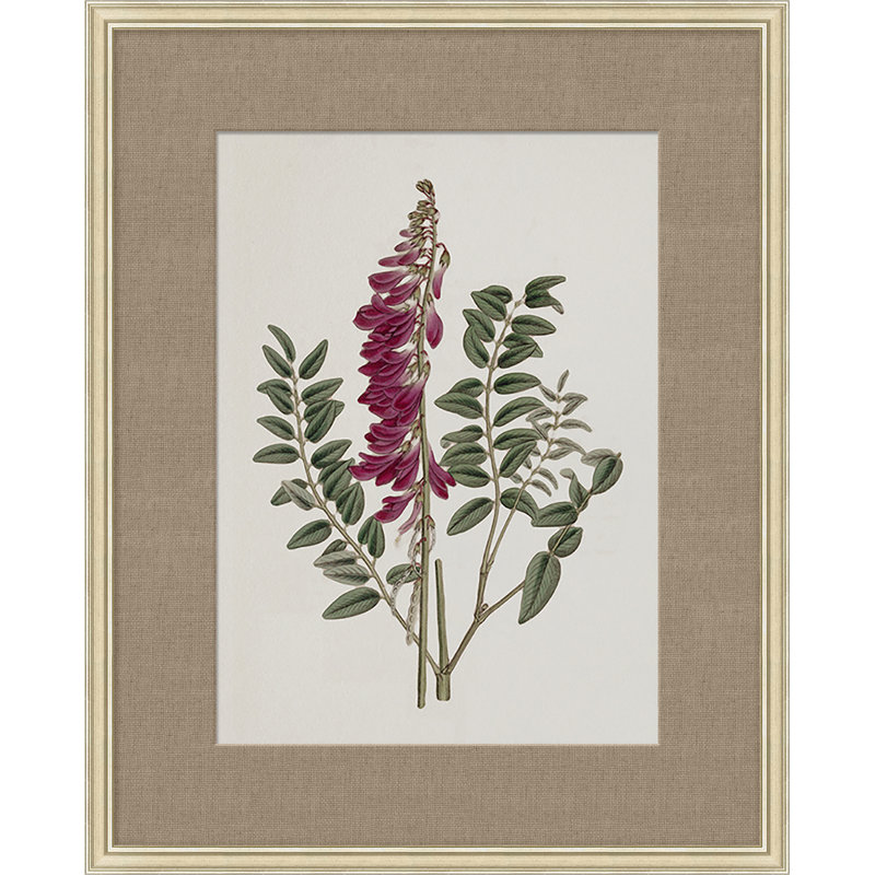 Floral Study In Plum 1 Print