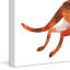 Abc Kangaroo - Painting on Canvas-1318182269