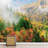Aerial View Autumn Forest Tree-88769787