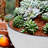 Set of 2 Modern Minimalist Plastic Outdoor Planter with Drainage Function-109269698