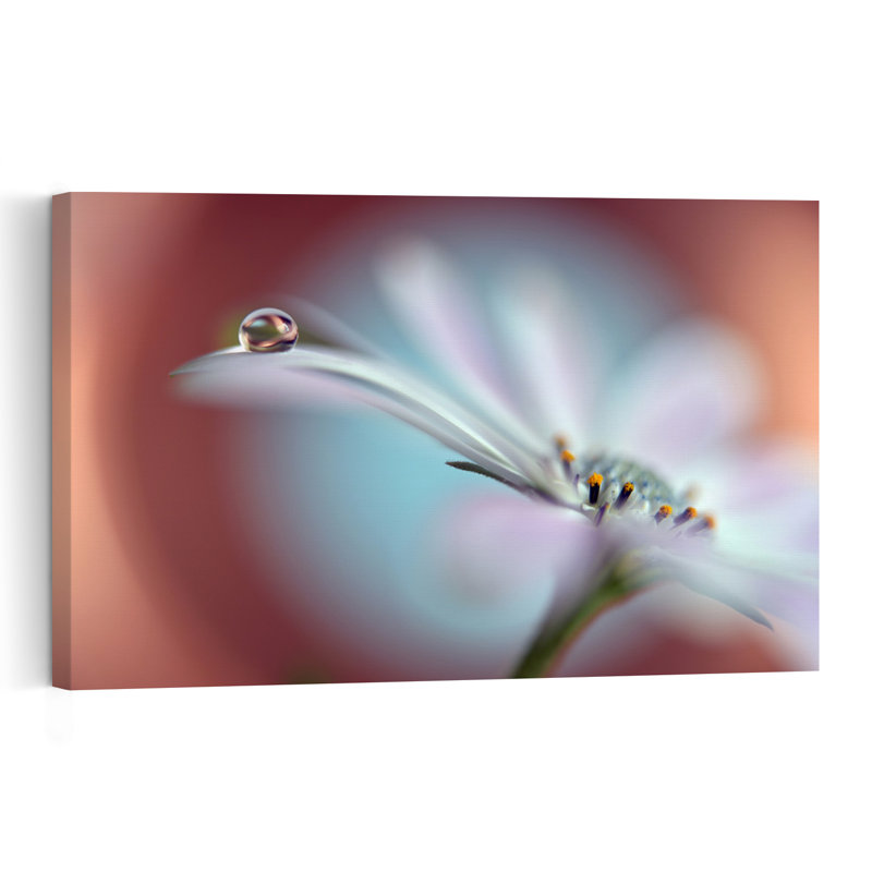 Delicate Droplet Bloom Delicate Serene Vibrant Flower Nature Wall Art Print 1 Piece Wrapped Canvas Wall Art