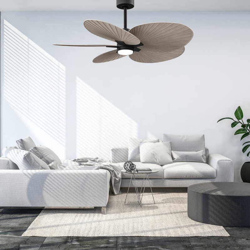 Alessandra Tropical - Five Blade Ceiling Fan - Integrated LED -Matte Black Finish -Light Blue Blades, Gray Ash Tone