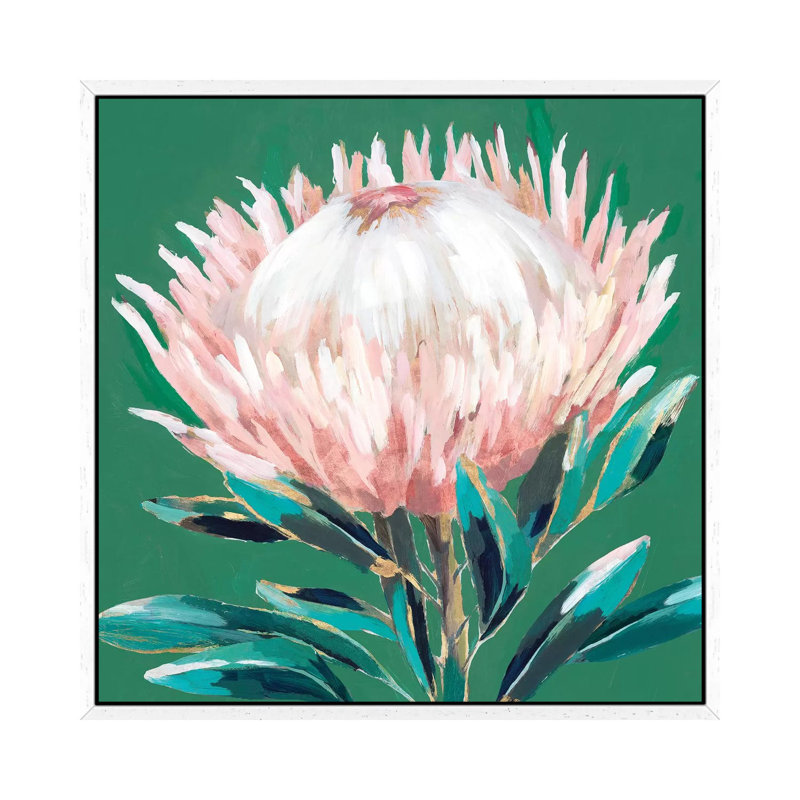 Single King Protea by Isabelle Z - Painting on Canvas, White Framed, 66.04 cm H x 66.04 cm W