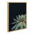 Succulent 8 by Emiko and Mark Franzen F2Images Framed Canvas Wall Art Print-71255316-131583034