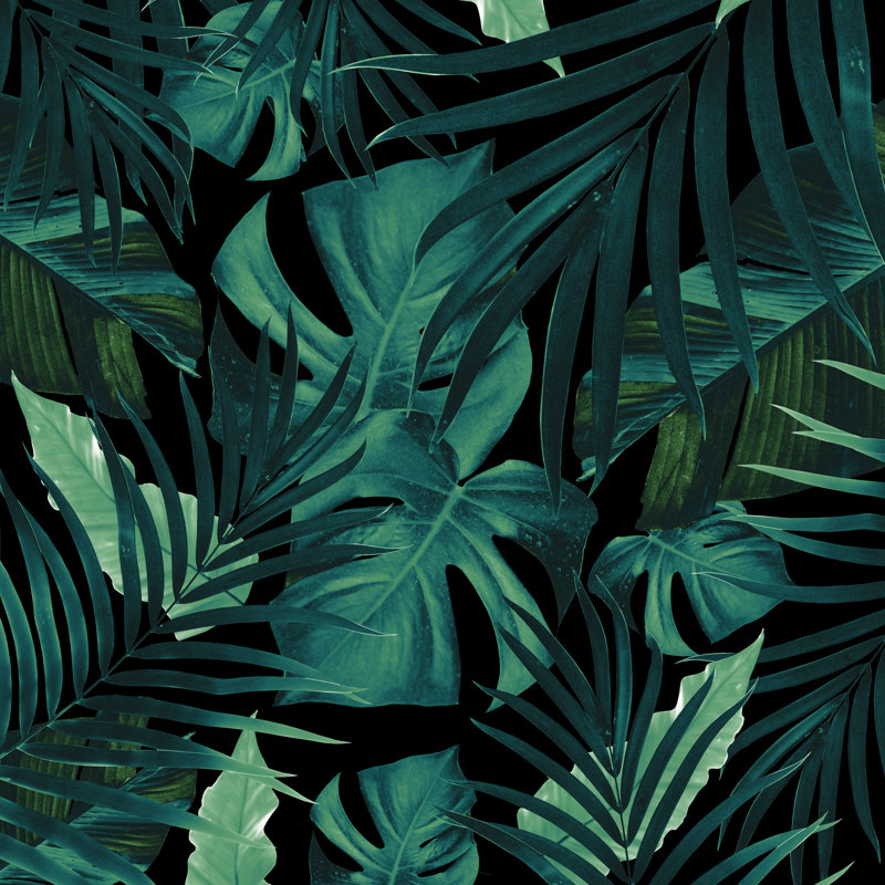 «Tropical Jungle Night 1», impression sur toile tendue, H 20 po x l 20 po, Cadre simple noir, Non