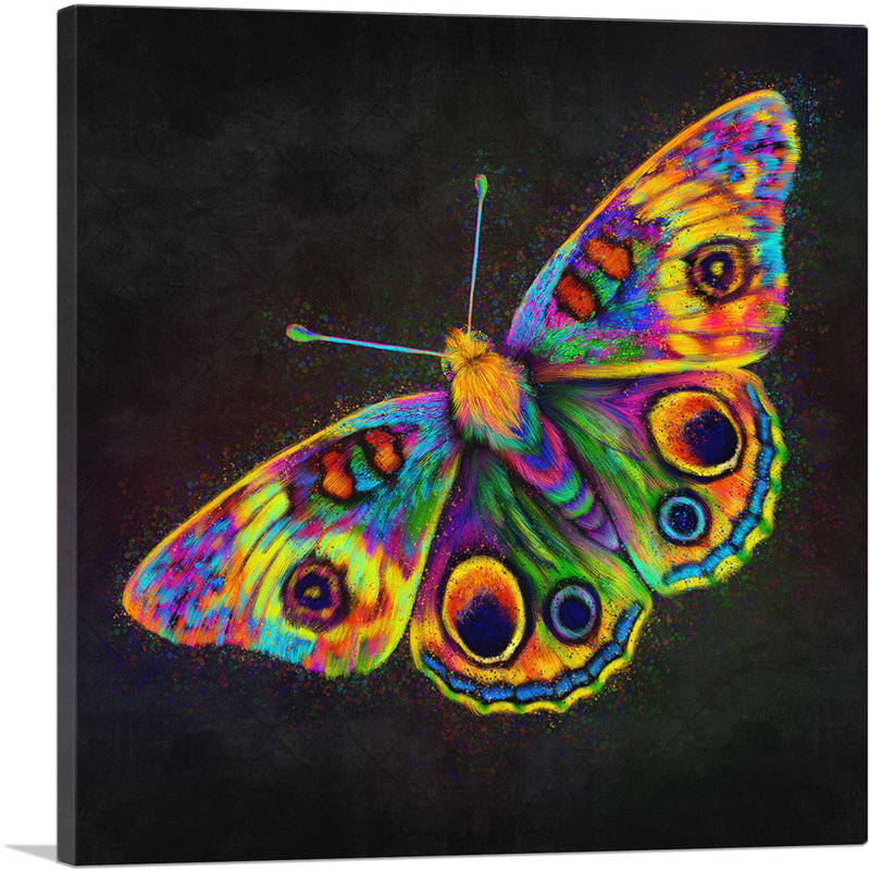 «Butterfly Wings Insect», reproduction d'art sur toile tendue, H 12 po x l 12 po x P 1,5 po