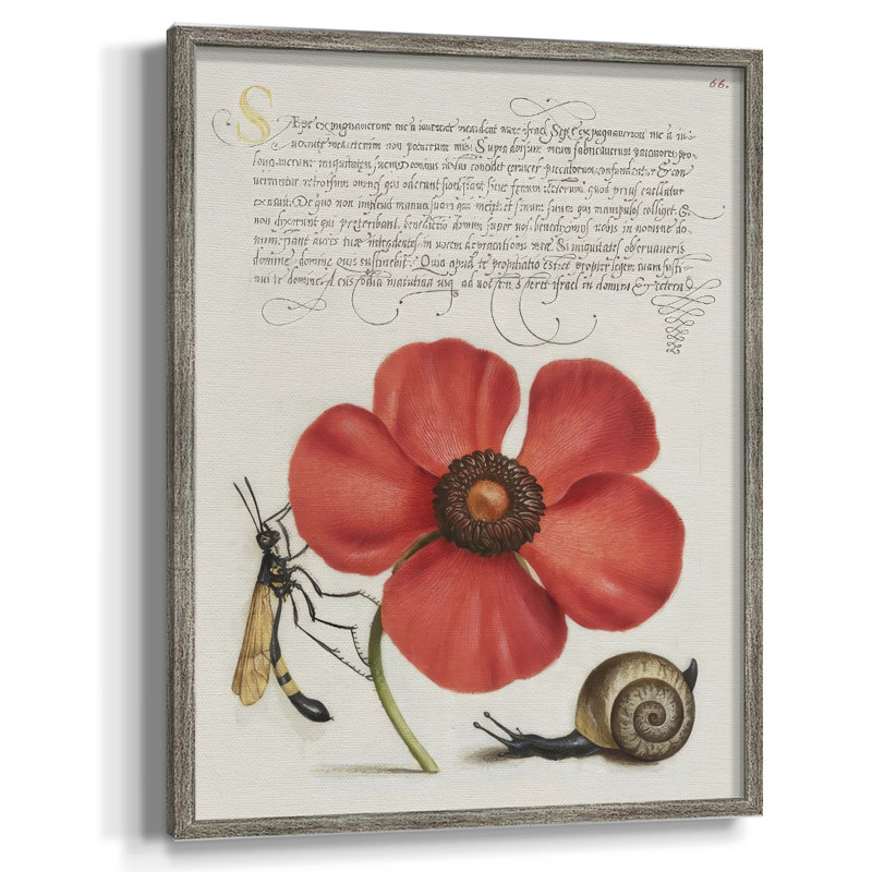 Reproduction encadrée Hoefnagel Tropical, H 11 po x l 9 po