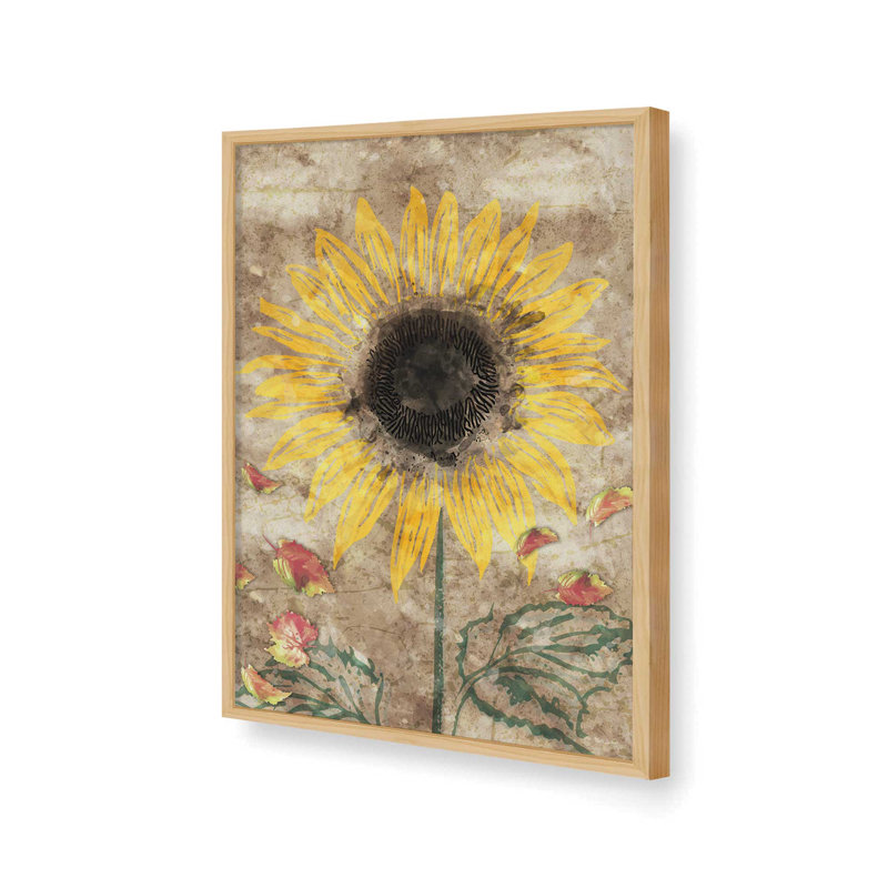 «Fall Sunflower» par Nicole DeCamp, reproduction d'art, Tan, 36 W x 48 H, Framed Print