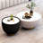 Four-Piece Set Grey Sofa Modern Waiting Room Sets  Reception Set