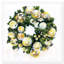 « golden christmas »-impression-25422170-25147007